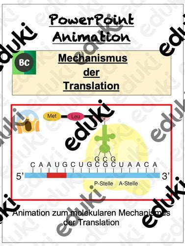 Hemmechanismus translation in English .